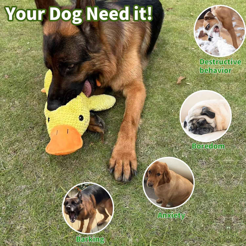 Brinquedo de cachorro de pato de pelúcia resistente ao mastigar